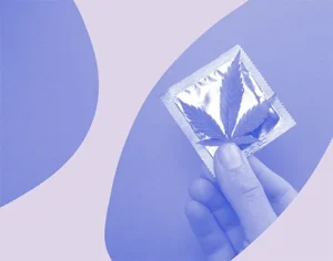 Grafika, na fioletowym tle dłoń trzyma prezerwatywę z liściem konopi z fioletowymi elementami graficznymi. Medicante